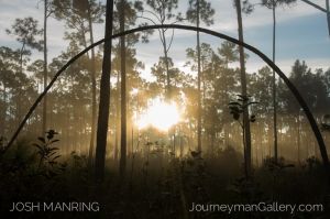Josh Manring Photographer Decor Wall Art -  Florida Everglades -95.jpg